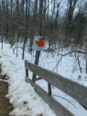 On the road to Comte Farm.