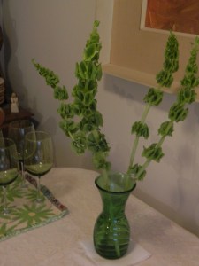 Bells of Ireland delight the senses.