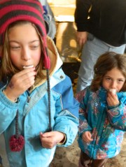 For visitors Abby and Charlotte, a taste of maple syrup produced at Comte Farm.