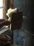 Hands-on chance to clean the wool.