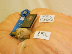 Photo by Jacqueline Bennett