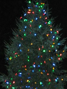 a 20 foot Balsam fir was donated by Jeff and Dianne Hedrick for the annual Tree Lighting in Downtown Manchester, Connectiuct.