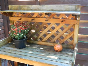 Harbinger of the seasons - my potter's bench.