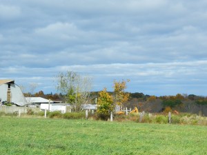 Farmland in rural Coventry, Conn. - photo by JB.