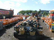 Botti Fruit Farm, Glastonbury, Conn. - photo by JB