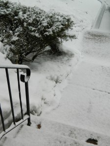 Old man winter is not yet ready to say good-bye.