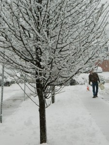 Sanding the walkway outside Burger King.