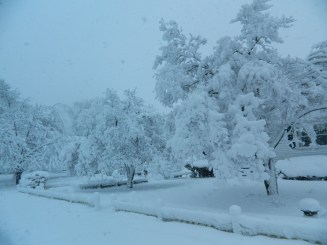 Yet, oh so beautiful!