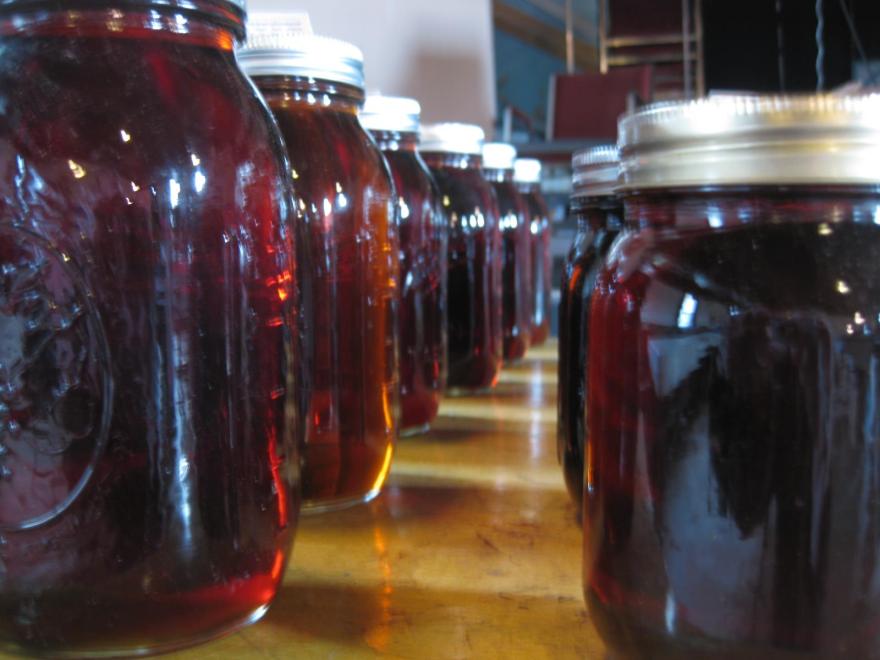 Maple Syrup from The Root Seller (1)