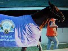 From ESPN - Nyquist/