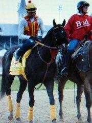 From DRF.com Danzing Candy.