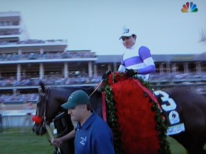 As broadcast on NBC -Nyquist in the Kentucky Derby Winner's Circle wiearing his congratulatory blanket of red roses.