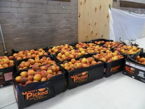 New Jersey peached saved the day.