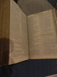 Phrases used used in language today were written by William Shakespeare.