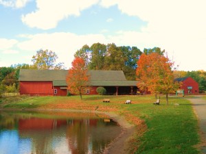 Northwest Park is Windsor's largest park and a popular place for walking and hiking.