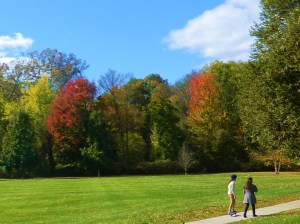 Autumn skateboarding on Lommis Chaffee campus.