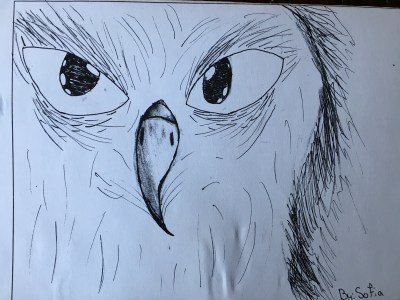 Drawing by Sofia