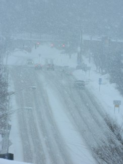 View of Hale Road in Manchester, CT around 11:30 a.m. on Sunday.