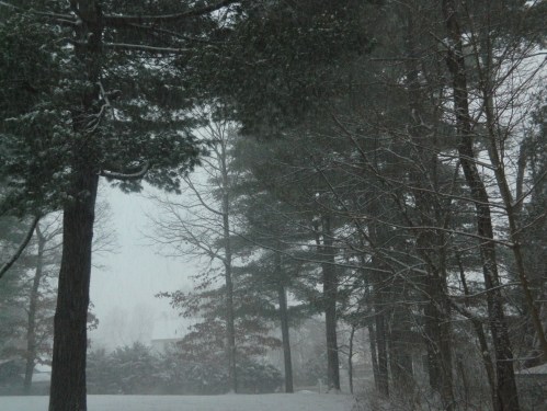 By 7:00 a.m the sky remained misty and rapid snowfall was accumulating.