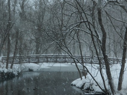 Union Park Pond Manchester CT